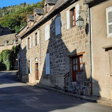 Gite De L Aspre Fontanges Exterior foto