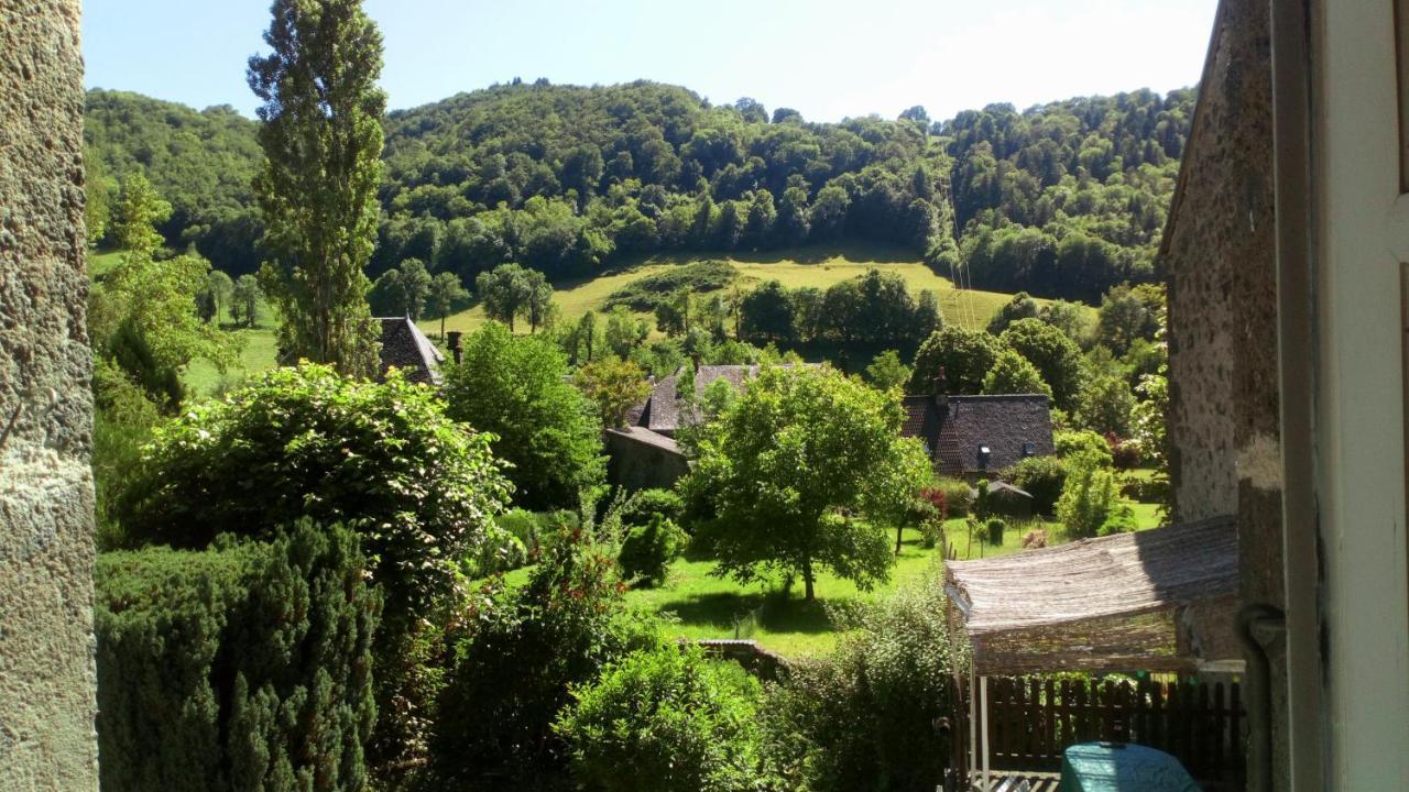 Gite De L Aspre Fontanges Exterior foto