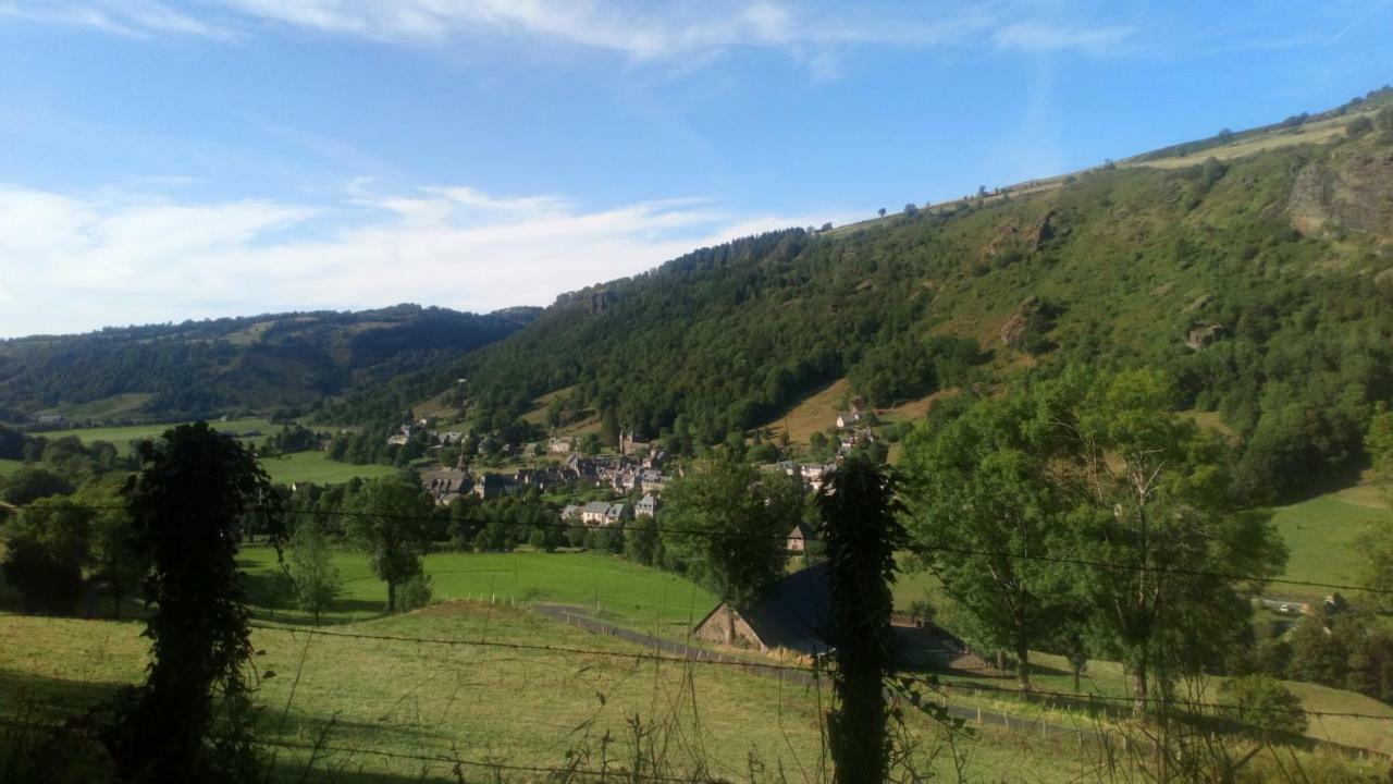 Gite De L Aspre Fontanges Exterior foto